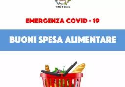 I bonus spesa comunali sono riservati a coloro che sono colpiti dalla situazione economica determinatasi per effetto dell’emergenza Covid-19 